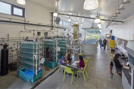 Aerial shot of a laboratory on 伊甸堂校园, with students working on various projects